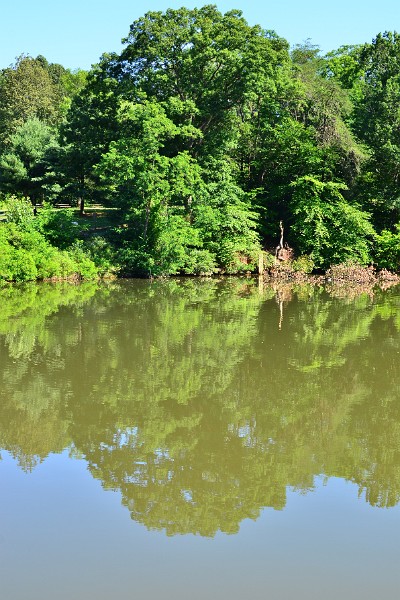 Tree, Water, Sky Tree, Water, Sky